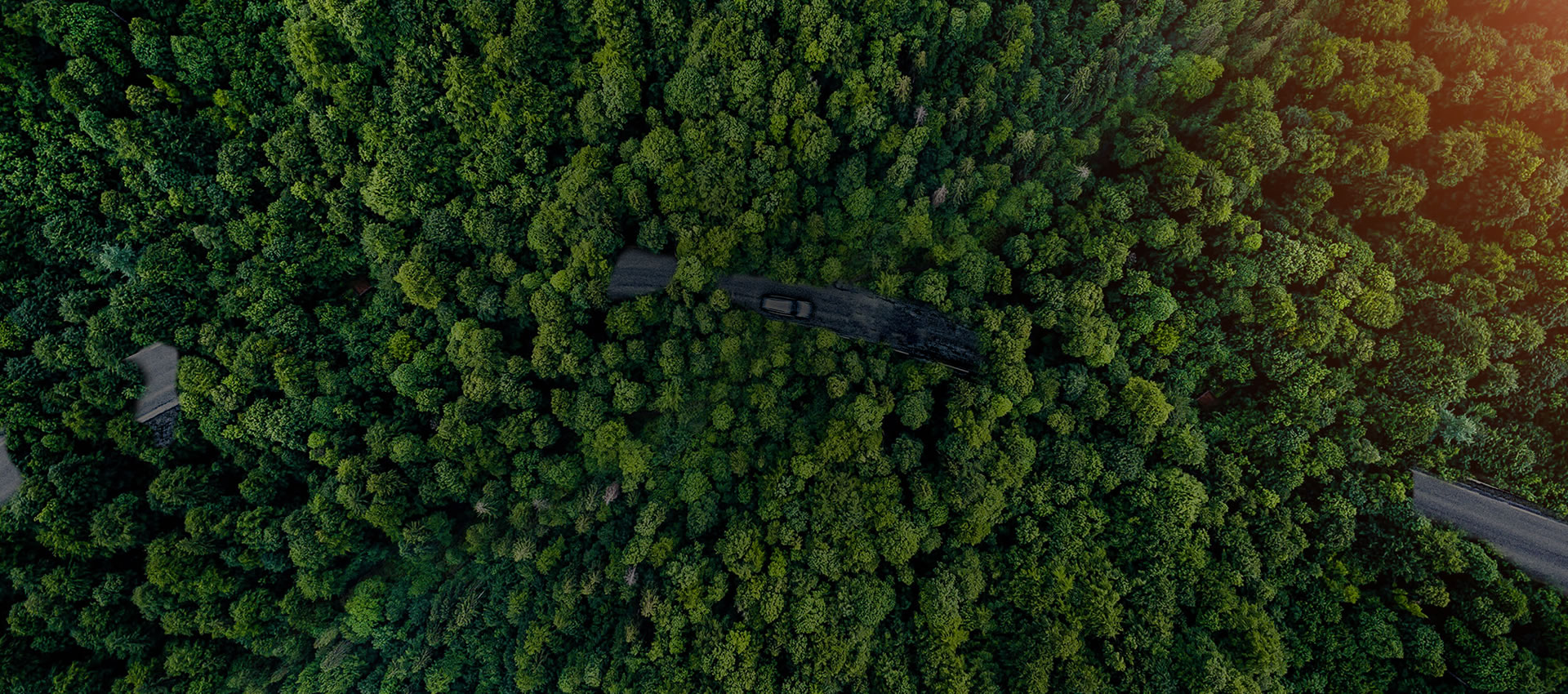 安徽志瑞新材料