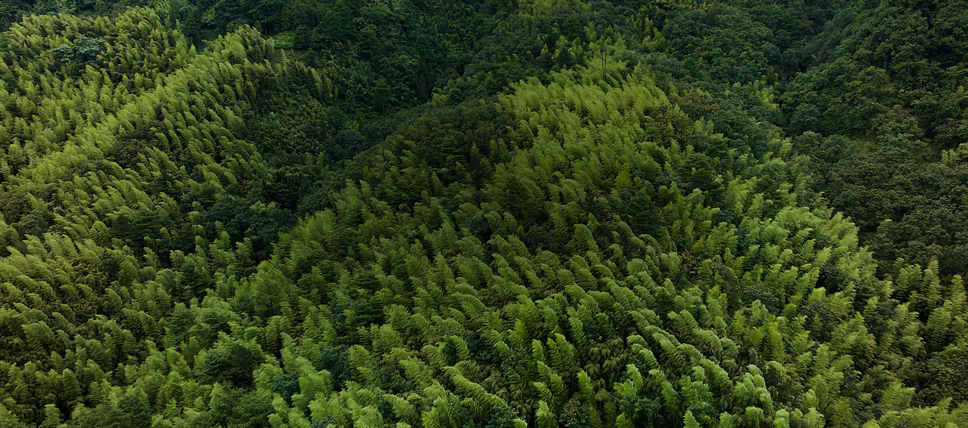 安徽志瑞新材料