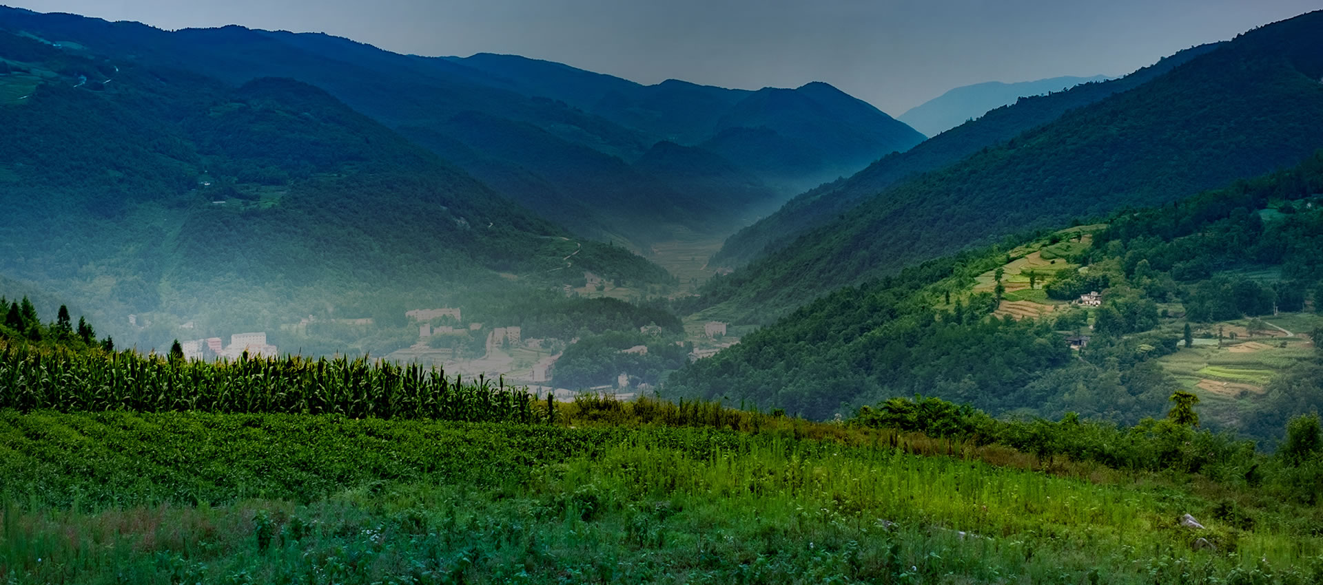 安徽志瑞新材料